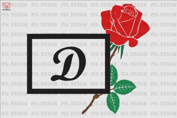 Rose Font D: A Designer’s Real-World Review