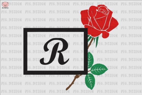 Rose Font R: A Designer’s Real-World Review