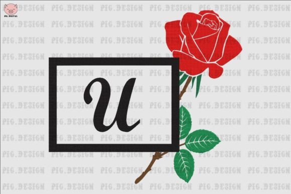 Rose Font U: A Boutique Sweatshirt Designer’s Honest Review
